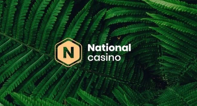 ورود به سایت National Casino نشنال کازینو معتبر در زمینه پوکر و بلک جک