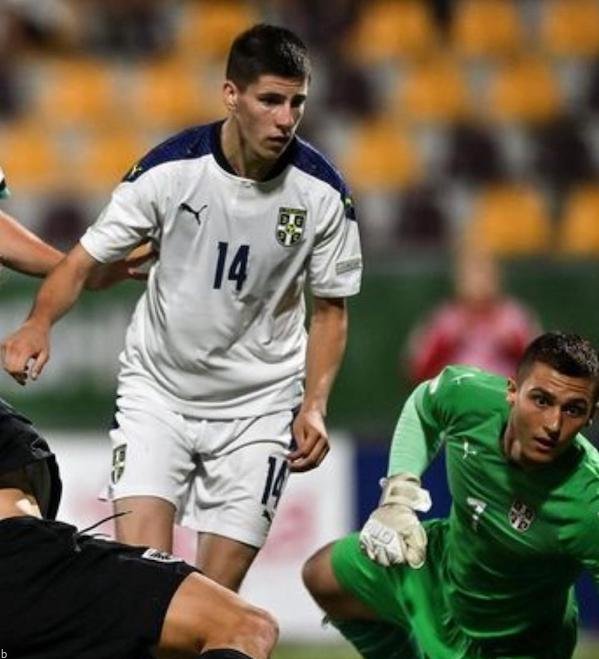 فرم شرط بندی دیدار صربستان و سوییس جام جهانی قطر با بونوس 200%