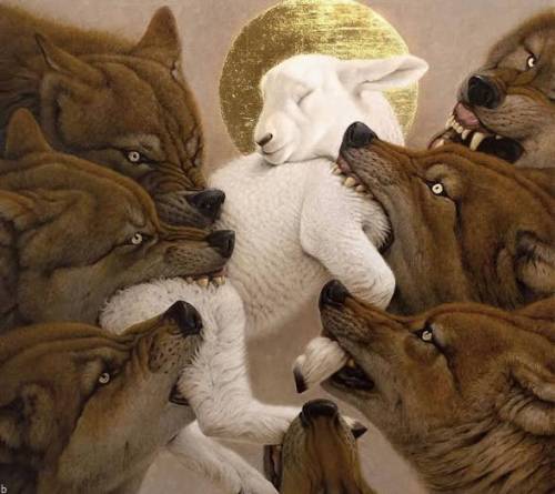 اسپین های رایگان بازی سرزمین گرگ ها Wolf Land