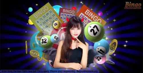 بینگو شرطی : ترکیب هیجان، شانس و استراتژی برای برد بیشتر