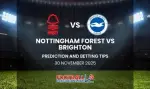 فرم پیش بینی بازی ناتینگهام فارست و برایتون (لیگ برتر انگلیس|هفته سیزدهم)
